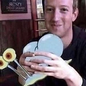 Meet your Posher, Henry